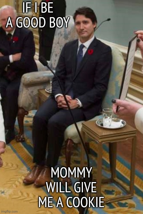 The ball-less sit | IF I BE A GOOD BOY; MOMMY WILL GIVE ME A COOKIE | image tagged in trudeau | made w/ Imgflip meme maker