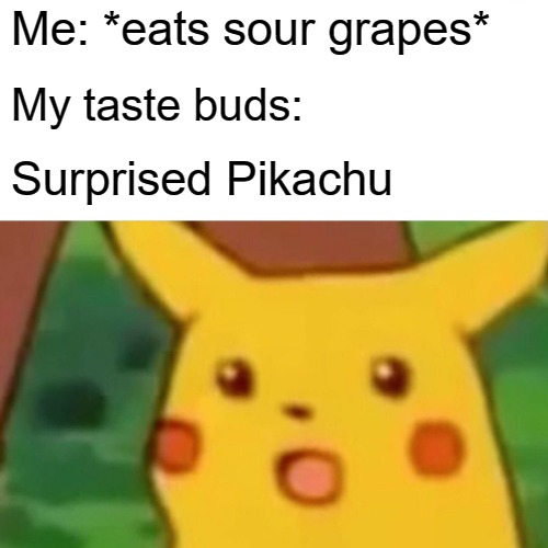 Surprised Pikachu | Me: *eats sour grapes*; My taste buds:; Surprised Pikachu | image tagged in memes,surprised pikachu | made w/ Imgflip meme maker