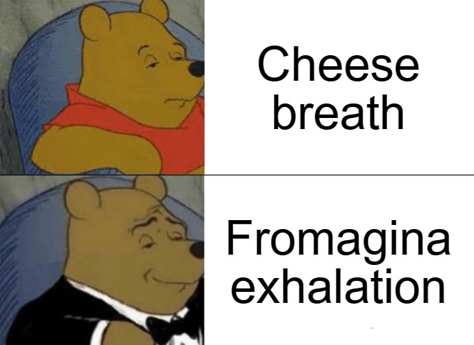 Tuxedo Winnie The Pooh | Cheese breath; Fromagina exhalation | image tagged in memes,tuxedo winnie the pooh | made w/ Imgflip meme maker