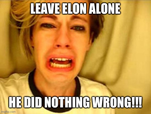 Leave Britney Alone | LEAVE ELON ALONE; HE DID NOTHING WRONG!!! | image tagged in leave britney alone | made w/ Imgflip meme maker