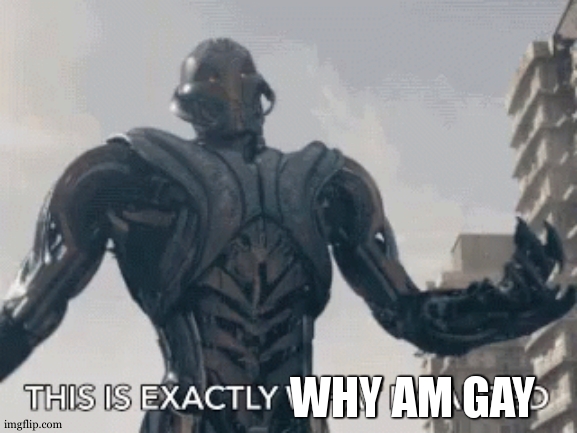 This is exactly what I wanted | WHY AM GAY | image tagged in this is exactly what i wanted | made w/ Imgflip meme maker