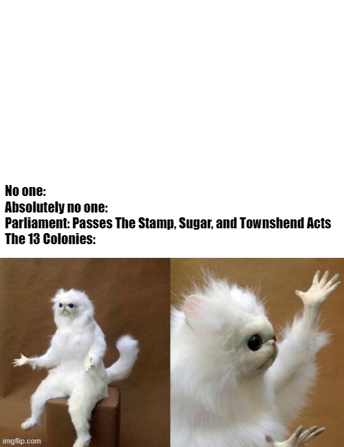 How The 13 Colonies To Britain's Taxes | No one:
Absolutely no one:
Parliament: Passes The Stamp, Sugar, and Townshend Acts
The 13 Colonies: | image tagged in wtf cat meme,america | made w/ Imgflip meme maker