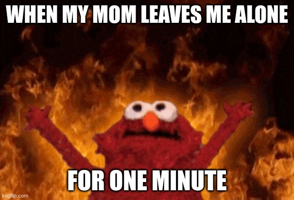 suii water | WHEN MY MOM LEAVES ME ALONE; FOR ONE MINUTE | image tagged in funny memes | made w/ Imgflip meme maker