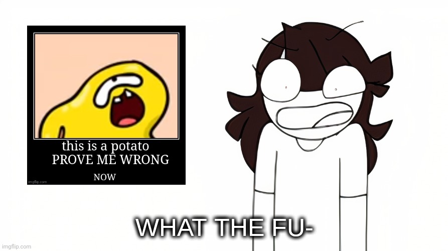 Jaiden Animations What the Fu- | image tagged in jaiden animations what the fu- | made w/ Imgflip meme maker