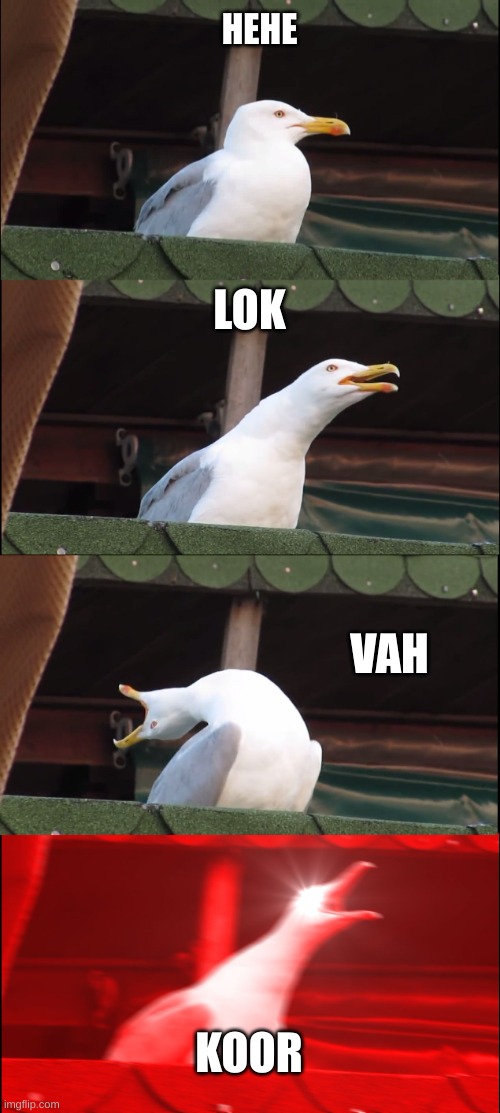 Inhaling Seagull | HEHE; LOK; VAH; KOOR | image tagged in memes,inhaling seagull | made w/ Imgflip meme maker