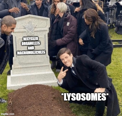 Grant Gustin over grave | RECYCLED ORGANELLES AND MACROMOLECULES; *LYSOSOMES* | image tagged in grant gustin over grave | made w/ Imgflip meme maker