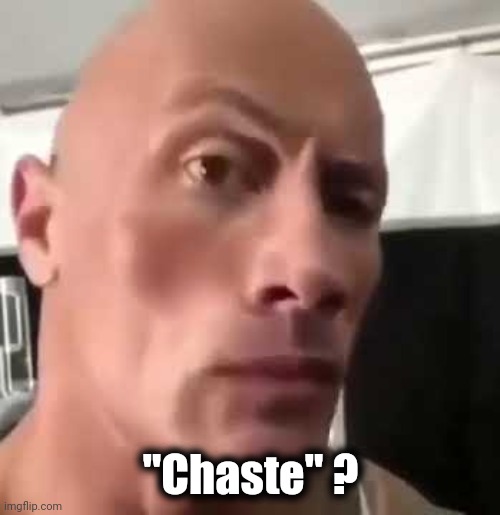 The Rock Eyebrows | "Chaste" ? | image tagged in the rock eyebrows | made w/ Imgflip meme maker
