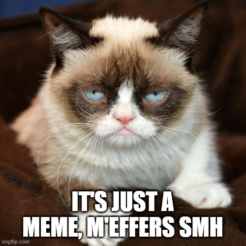 Just a Meme | IT'S JUST A MEME, M'EFFERS SMH | image tagged in sarcasm | made w/ Imgflip meme maker