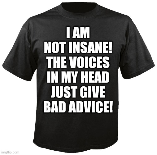 A shirt I'd buy.... | I AM NOT INSANE! THE VOICES IN MY HEAD JUST GIVE BAD ADVICE! | image tagged in blank t-shirt,insanity,voices,clothes,words of wisdom | made w/ Imgflip meme maker