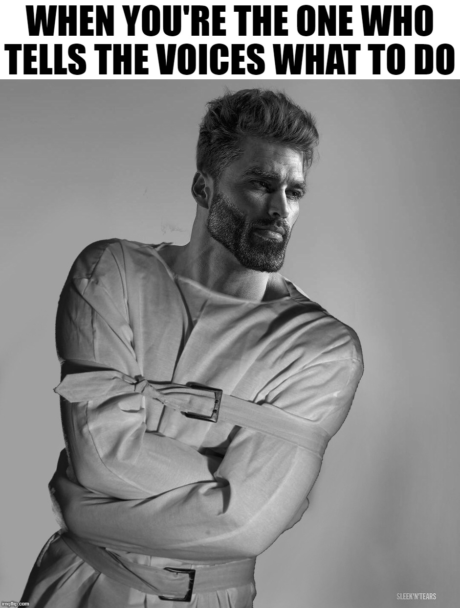 The Mad Chad | WHEN YOU'RE THE ONE WHO TELLS THE VOICES WHAT TO DO | image tagged in the mad chad | made w/ Imgflip meme maker
