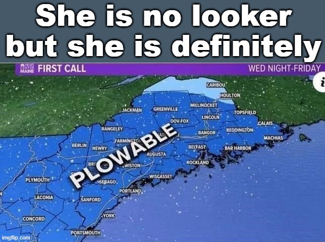 She is no looker but she is definitely | image tagged in good looking | made w/ Imgflip meme maker