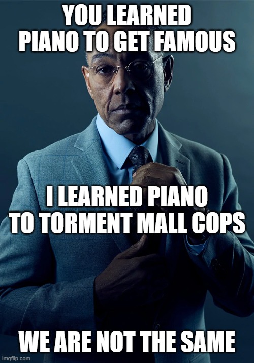 I don't often play the piano, but when I do... | YOU LEARNED PIANO TO GET FAMOUS; I LEARNED PIANO TO TORMENT MALL COPS; WE ARE NOT THE SAME | image tagged in we are not the same | made w/ Imgflip meme maker