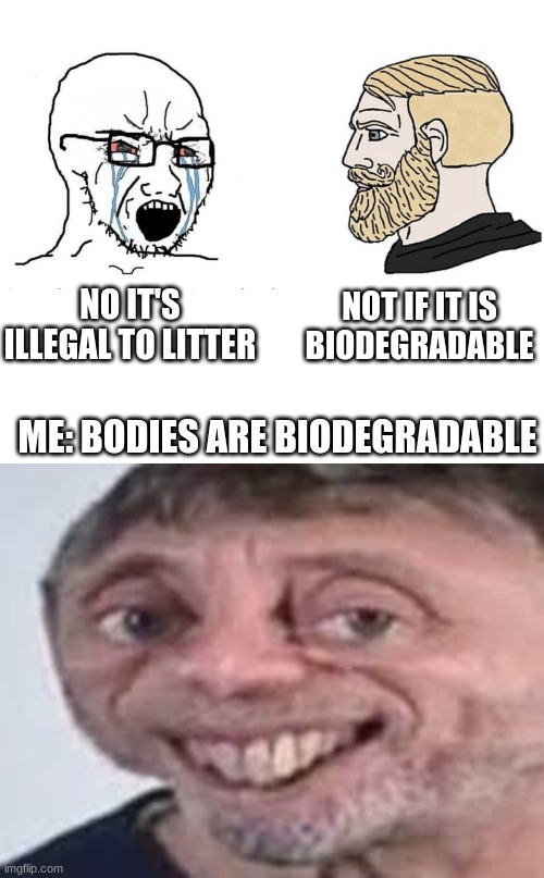 biodegradability | NOT IF IT IS BIODEGRADABLE; NO IT'S ILLEGAL TO LITTER; ME: BODIES ARE BIODEGRADABLE | image tagged in soyboy vs yes chad,biodegradable,smart | made w/ Imgflip meme maker