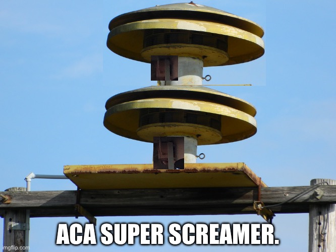 ACA Super Screamer | ACA SUPER SCREAMER. | image tagged in funny | made w/ Imgflip meme maker