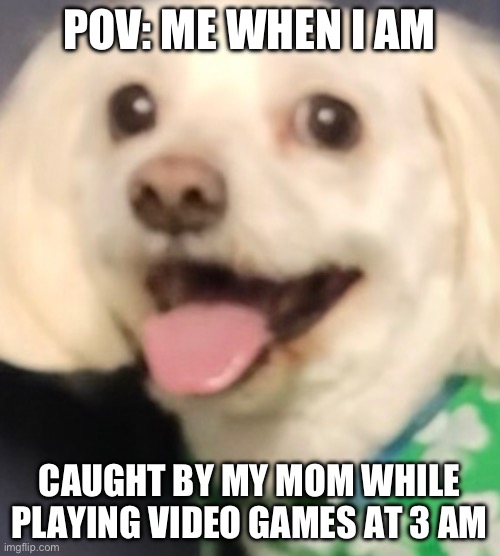 Dog face | POV: ME WHEN I AM; CAUGHT BY MY MOM WHILE PLAYING VIDEO GAMES AT 3 AM | image tagged in video game,dogs | made w/ Imgflip meme maker