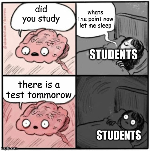 Brain Before Sleep | whats the point now let me sleep; did you study; STUDENTS; there is a test tommorow; STUDENTS | image tagged in brain before sleep | made w/ Imgflip meme maker