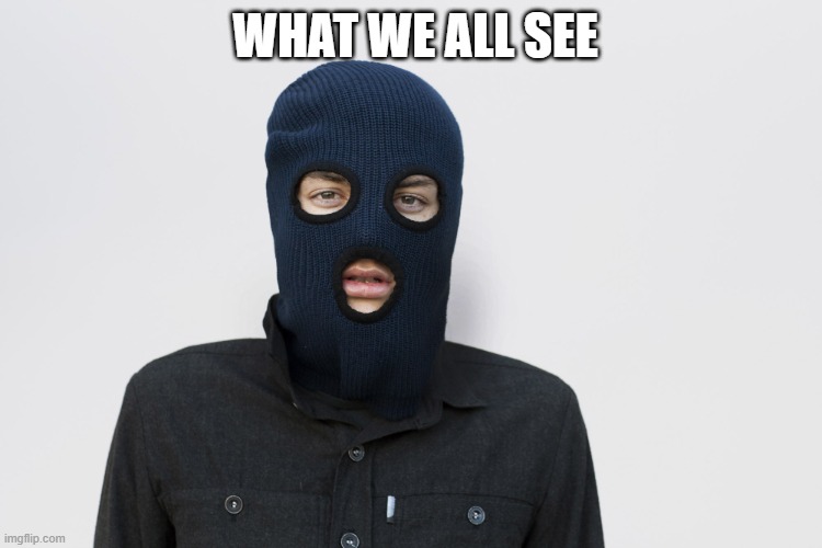 Ski mask robber | WHAT WE ALL SEE | image tagged in ski mask robber | made w/ Imgflip meme maker
