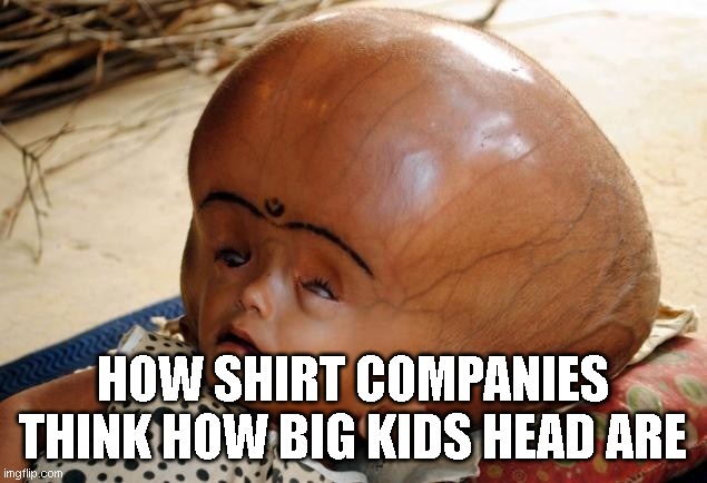 memes of shirt companies | HOW SHIRT COMPANIES THINK HOW BIG KIDS HEAD ARE | image tagged in big head,shirt,memes | made w/ Imgflip meme maker