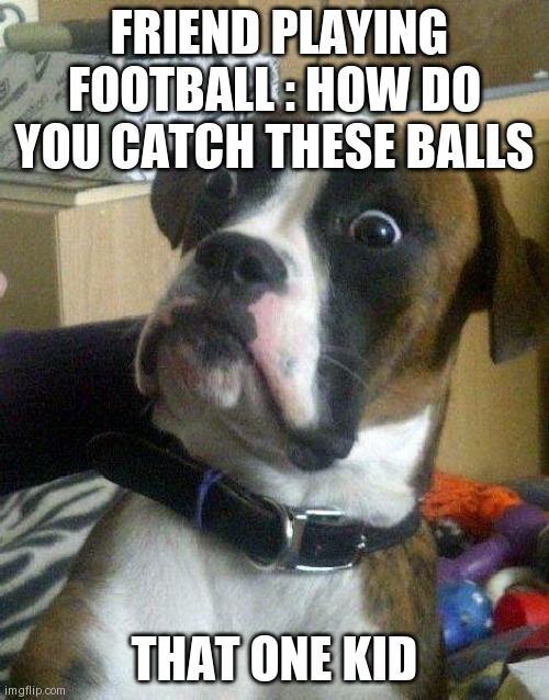 Surprised Dog | FRIEND PLAYING FOOTBALL : HOW DO YOU CATCH THESE BALLS; THAT ONE KID | image tagged in surprised dog | made w/ Imgflip meme maker