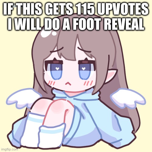 Plz no | IF THIS GETS 115 UPVOTES I WILL DO A FOOT REVEAL | image tagged in funny,memes | made w/ Imgflip meme maker