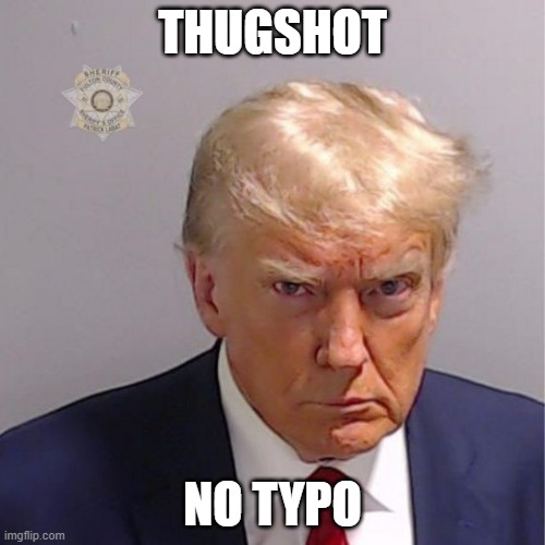 W mugshot | THUGSHOT; NO TYPO | image tagged in donald trump,trump,donald trump mugshot | made w/ Imgflip meme maker