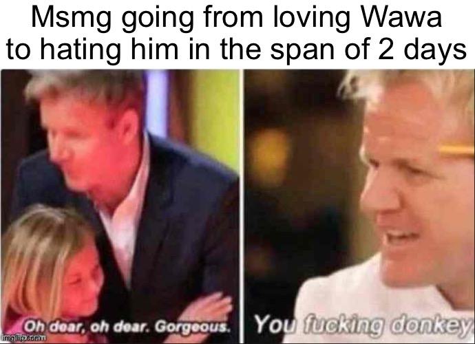 Oh Dear Oh Dear Gorgeous | Msmg going from loving Wawa to hating him in the span of 2 days | image tagged in oh dear oh dear gorgeous | made w/ Imgflip meme maker