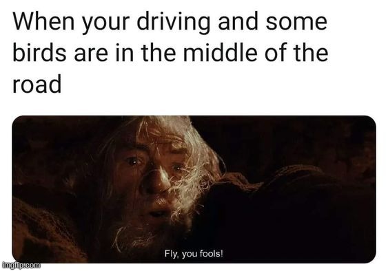 Don't want to hit them | image tagged in memes,funny | made w/ Imgflip meme maker