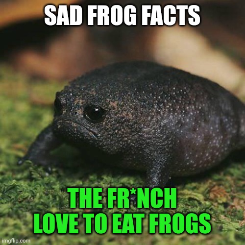 Important frog facts | SAD FROG FACTS THE FR*NCH LOVE TO EAT FROGS | image tagged in sad toad,frog,facts | made w/ Imgflip meme maker