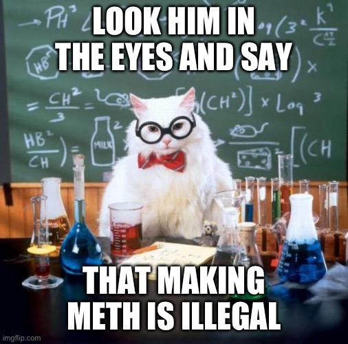 Chemistry Cat Meme | LOOK HIM IN THE EYES AND SAY; THAT MAKING METH IS ILLEGAL | image tagged in memes,chemistry cat | made w/ Imgflip meme maker
