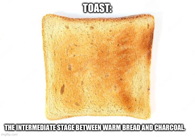 TOAST:; THE INTERMEDIATE STAGE BETWEEN WARM BREAD AND CHARCOAL. | image tagged in slice of toast | made w/ Imgflip meme maker