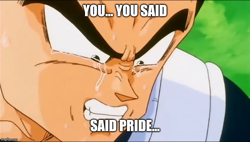 YOU... YOU SAID SAID PRIDE... | image tagged in vegeta crying | made w/ Imgflip meme maker