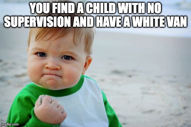 Success Kid Original | YOU FIND A CHILD WITH NO SUPERVISION AND HAVE A WHITE VAN | image tagged in memes,success kid original | made w/ Imgflip meme maker