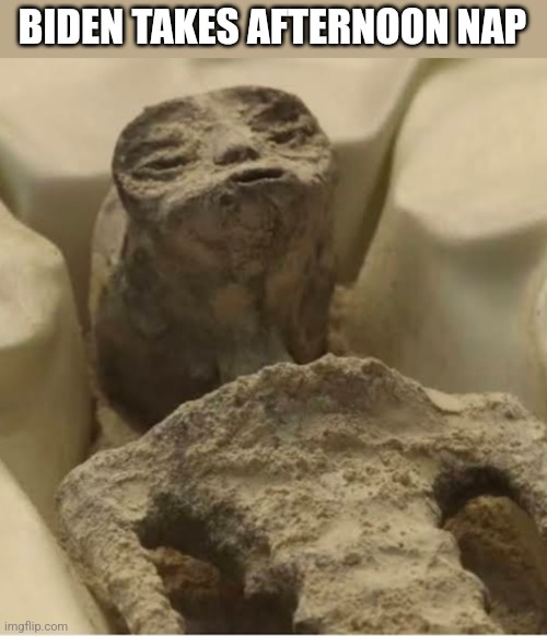 BIDEN TAKES AFTERNOON NAP | image tagged in funny memes | made w/ Imgflip meme maker