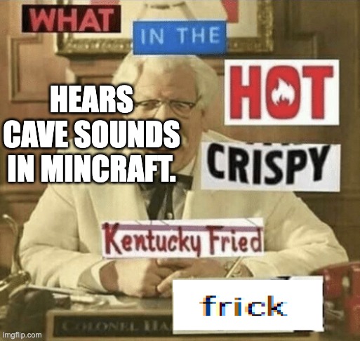 what in the hot crispy kentucky fried frick | HEARS CAVE SOUNDS IN MINCRAFT. | image tagged in what in the hot crispy kentucky fried frick | made w/ Imgflip meme maker