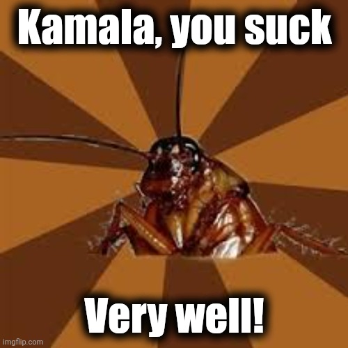 Cockroach | Kamala, you suck Very well! | image tagged in cockroach | made w/ Imgflip meme maker