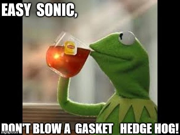 EASY  SONIC, DON'T BLOW A  GASKET   HEDGE HOG! | made w/ Imgflip meme maker