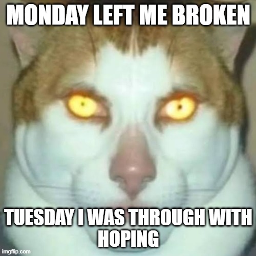 cat | MONDAY LEFT ME BROKEN; TUESDAY I WAS THROUGH WITH
HOPING | image tagged in sigma cat | made w/ Imgflip meme maker