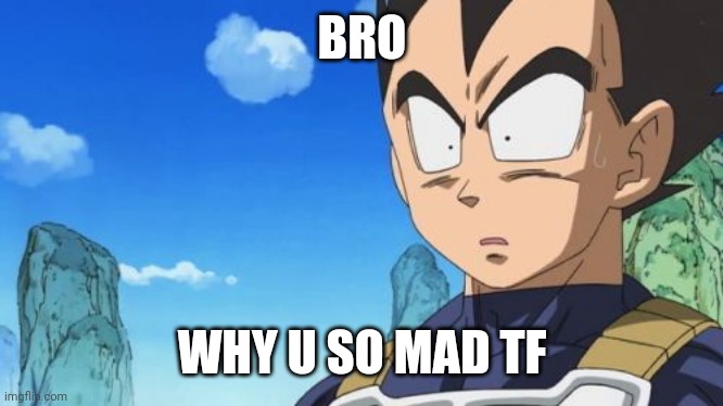 BRO WHY U SO MAD TF | image tagged in memes,surprized vegeta | made w/ Imgflip meme maker