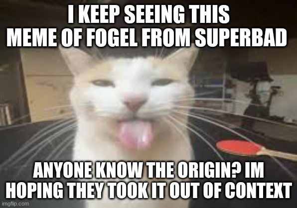 its the one where he says "Its in, omg its in" or whatever | I KEEP SEEING THIS MEME OF FOGEL FROM SUPERBAD; ANYONE KNOW THE ORIGIN? IM HOPING THEY TOOK IT OUT OF CONTEXT | image tagged in cat | made w/ Imgflip meme maker