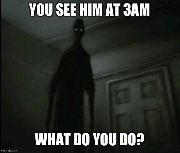 اس سانچے کو استعمال نہ کریں۔ | YOU SEE HIM AT 3AM; WHAT DO YOU DO? | made w/ Imgflip meme maker