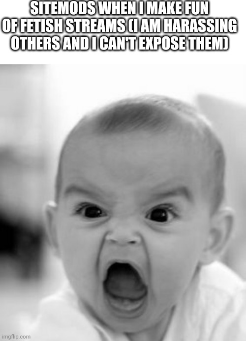 Fr | SITEMODS WHEN I MAKE FUN OF FETISH STREAMS (I AM HARASSING OTHERS AND I CAN'T EXPOSE THEM) | image tagged in memes,angry baby | made w/ Imgflip meme maker