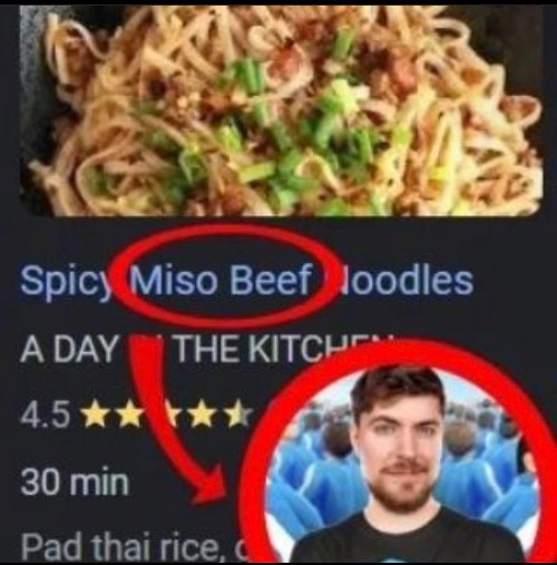 Miso beef | image tagged in mrbeast,memes,funny | made w/ Imgflip meme maker