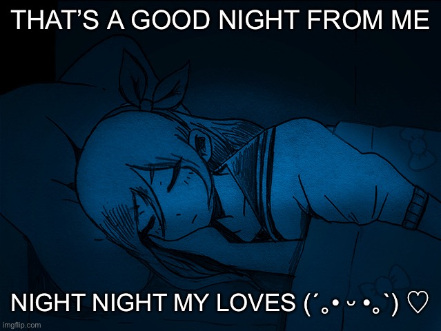 auby sleep | THAT’S A GOOD NIGHT FROM ME; NIGHT NIGHT MY LOVES (´｡• ᵕ •｡`) ♡ | image tagged in auby sleep | made w/ Imgflip meme maker