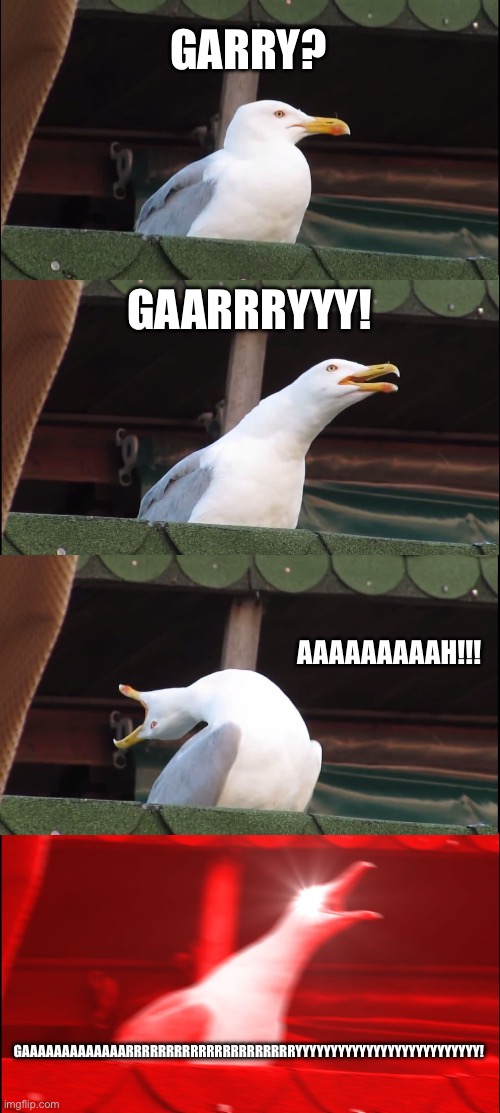 Where’s Garry? | GARRY? GAARRRYYY! AAAAAAAAAH!!! GAAAAAAAAAAAAARRRRRRRRRRRRRRRRRRRRRYYYYYYYYYYYYYYYYYYYYYYYYYY! | image tagged in memes,inhaling seagull | made w/ Imgflip meme maker