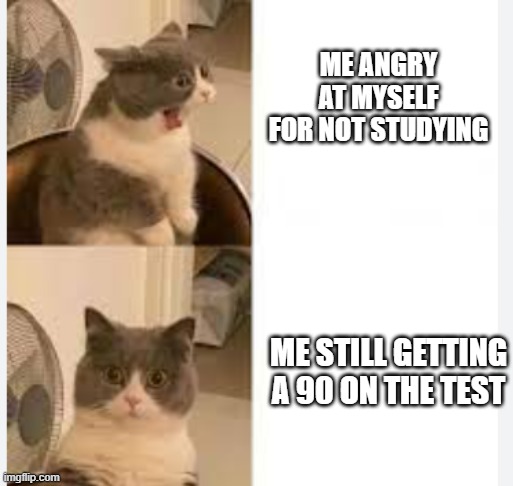 wen you thought you failed but actually passed | ME ANGRY AT MYSELF FOR NOT STUDYING; ME STILL GETTING A 90 ON THE TEST | image tagged in cats,test,fail | made w/ Imgflip meme maker