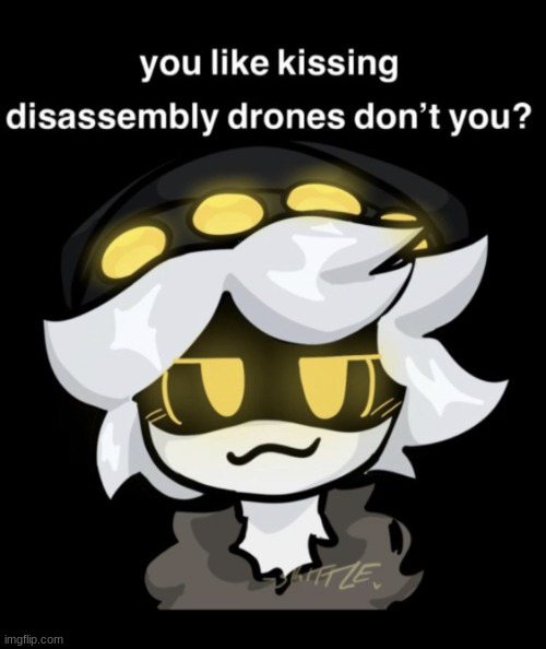 you like kissing disassembly drones don't you? Blank Meme Template