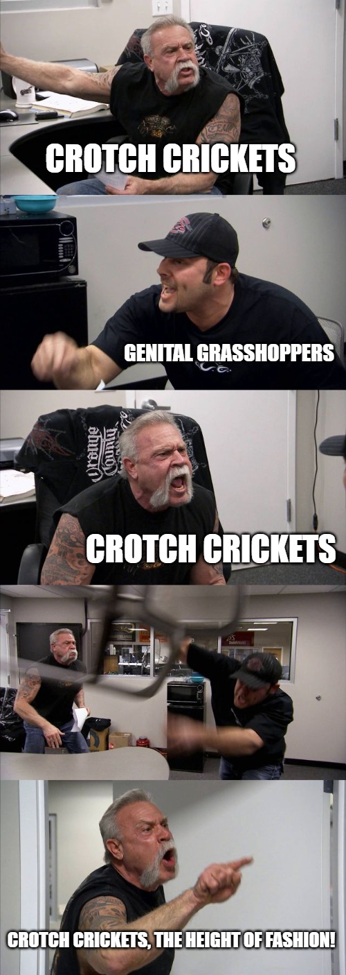 American Chopper Argument Meme | CROTCH CRICKETS; GENITAL GRASSHOPPERS; CROTCH CRICKETS; CROTCH CRICKETS, THE HEIGHT OF FASHION! | image tagged in memes,american chopper argument | made w/ Imgflip meme maker