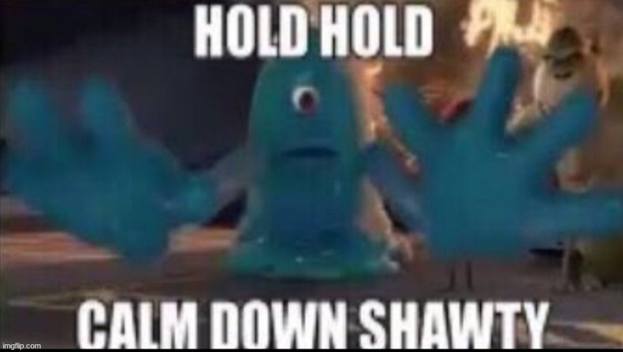 calm down shawty | image tagged in calm down shawty | made w/ Imgflip meme maker