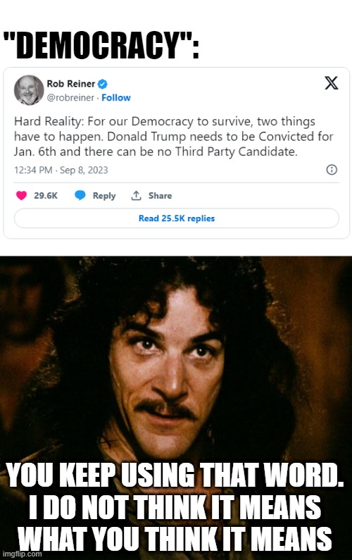 The irony here is inconceivable! | "DEMOCRACY":; YOU KEEP USING THAT WORD.
I DO NOT THINK IT MEANS
WHAT YOU THINK IT MEANS | image tagged in i do not think that word mean what you think it means,princess bride,i love democracy,inconceivable,democracy | made w/ Imgflip meme maker