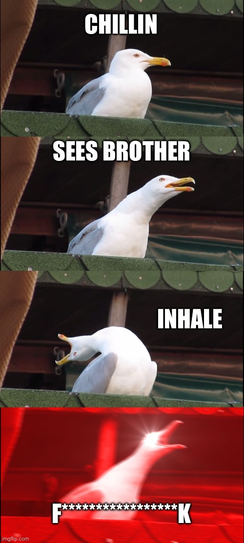 Torture | CHILLIN; SEES BROTHER; INHALE; F*****************K | image tagged in funny memes | made w/ Imgflip meme maker